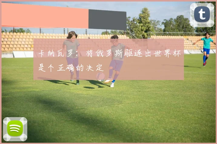 卡纳瓦罗：将俄罗斯驱逐出世界杯是个正确的决定