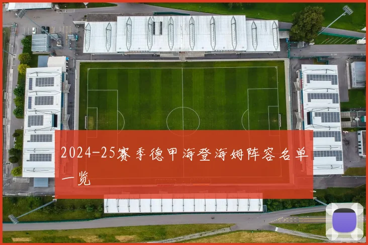 2024-25赛季德甲海登海姆阵容名单一览